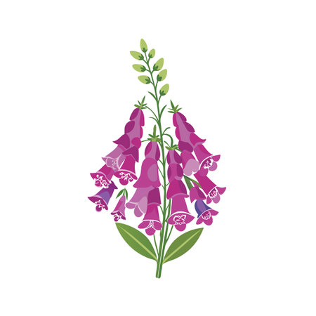 Lovely Foxglove Flower Bouquet Artのイラスト素材