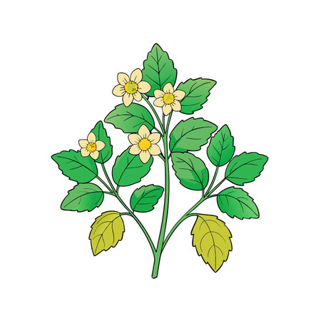 Lovely Lemon Balm Bouquet Floral Designのイラスト素材