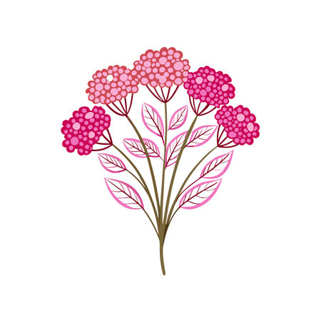 Beautiful Pink Yarrow Bouquet Floral Designのイラスト素材