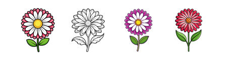 Stunning Bellis Flower Designのイラスト素材