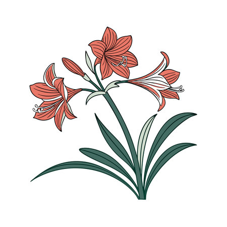 Stylish Amaryllis Houseplant Illustrationのイラスト素材