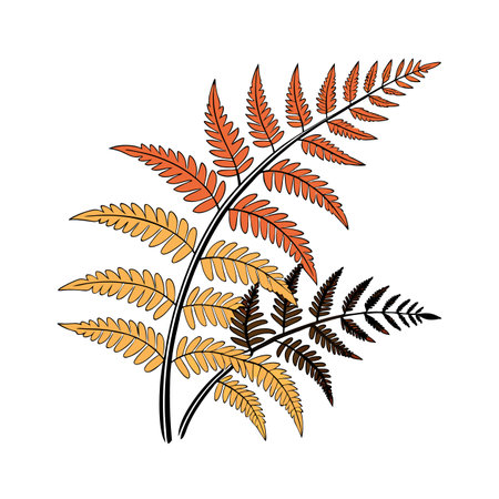 Bold Outline Autumn Fern Houseplant Designのイラスト素材
