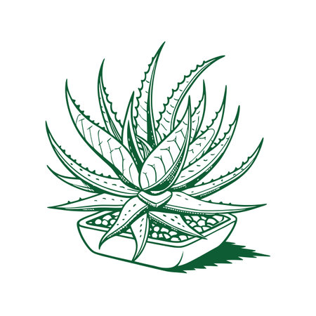 Elegant Ariocarpus Plant Graphic Artのイラスト素材