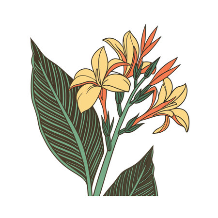 Chic Canna Lily Houseplant Artのイラスト素材