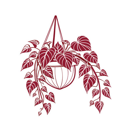 Vibrant Hoya Marilyn Houseplant Designのイラスト素材