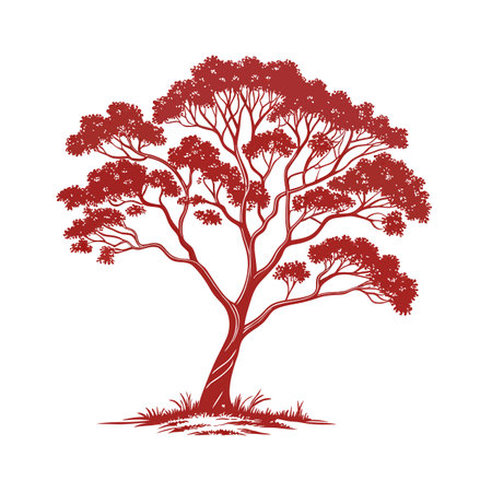 Stylish Mahogany Tree Plant Illustrationのイラスト素材