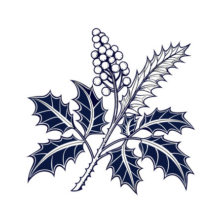Charming Mahonia Houseplant Artのイラスト素材