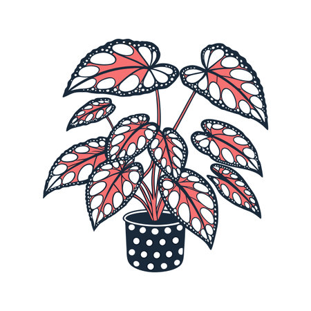 Vibrant Polka Dot Begonia Houseplant Designのイラスト素材