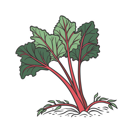 Dynamic Rhubarb Plant Artworkのイラスト素材