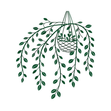 Bold Rhipsalis Houseplant Illustrationのイラスト素材