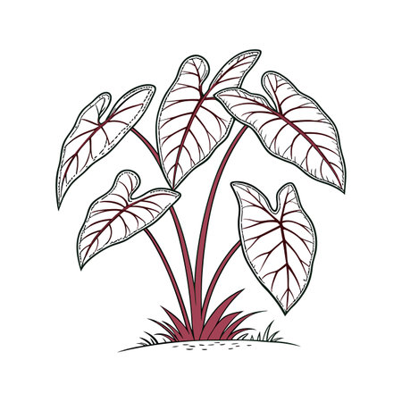 Bold Spadeleaf Houseplant Artworkのイラスト素材
