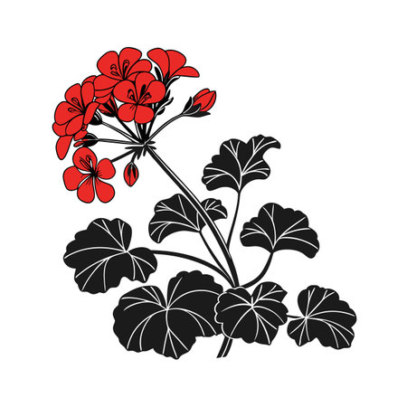Geranium Houseplant Bold Outline Artのイラスト素材