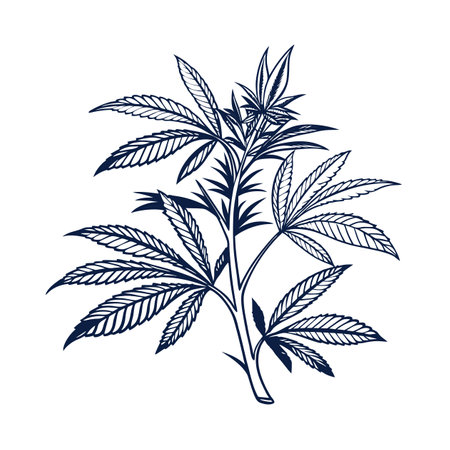 Charming ZZ Plant Illustration for Decorのイラスト素材