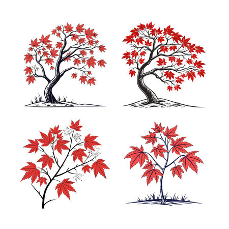Elegant Red Maple Houseplant Designのイラスト素材