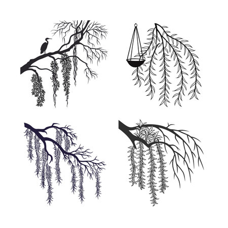 Bold Tillandsia Usneoides Houseplant Artworkのイラスト素材