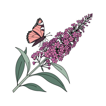 Butterfly Bush Flower Bold Outline Design