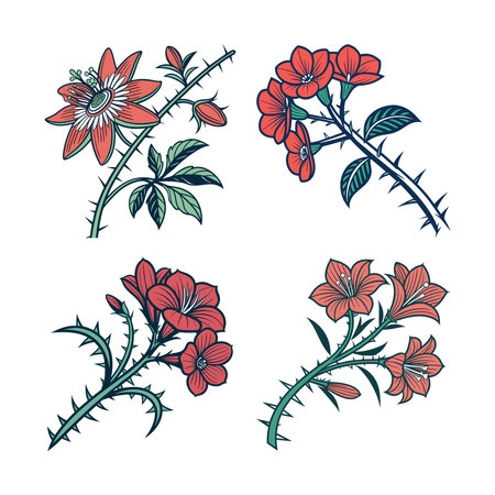 Crown of Thorns Flower Bold Design Outlineのイラスト素材