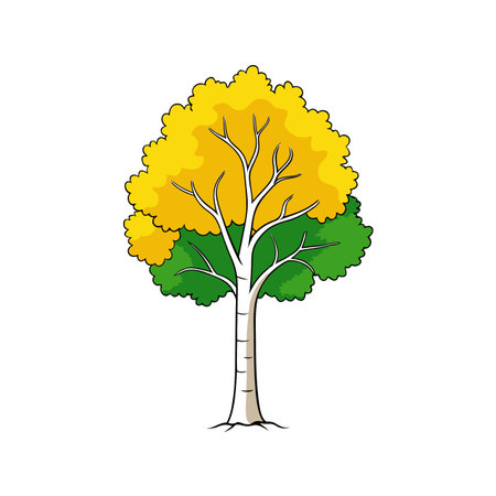Stylish Aspen Tree Design on White Backgroundのイラスト素材