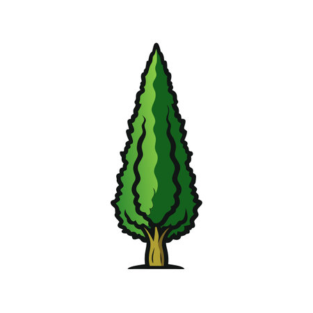 Italian Cypress Tree Bold Outline Illustrationのイラスト素材