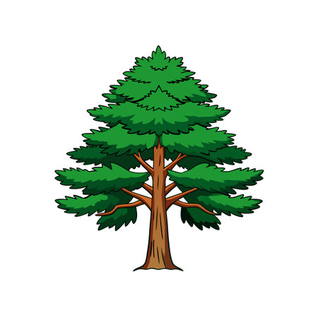 Unique Bold Australian Pine Tree Illustrationのイラスト素材
