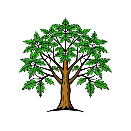 Bright Pawpaw Tree Illustration with Strong Outlineのイラスト素材