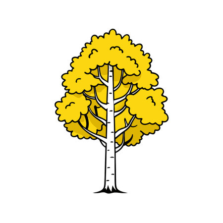 Striking Yellow Birch Tree Illustrationのイラスト素材