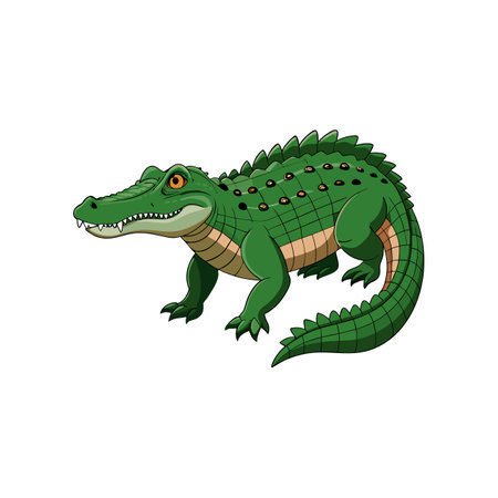 Detailed American Crocodile Realistic Vector Artのイラスト素材