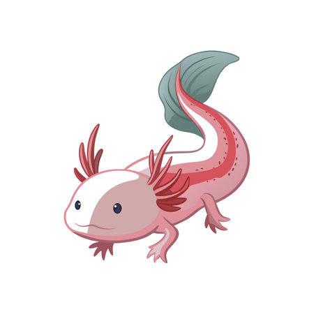 Detailed Axolotl Realistic Vector Artのイラスト素材