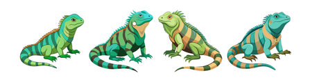 Colorful Fijian Banded Iguana Realistic Illustrationのイラスト素材