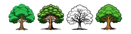 Elegant Chinquapin Oak Tree Design with Bold Outlineのイラスト素材
