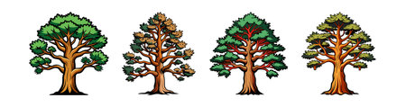 Bold Bristlecone Pine Tree Illustration on White Backgroundのイラスト素材