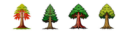 Unique Bald Cypress Tree Vector Illustrationのイラスト素材