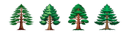 Impressive Deodar Cedar Tree Vector Designのイラスト素材