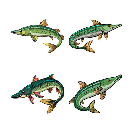 Striking Alligator Gar Beautiful Colorful Artのイラスト素材