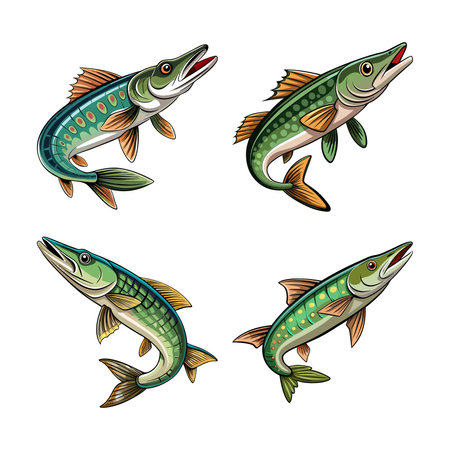 Waverider Pike Fish Illustration Featuring Realistic Colorsのイラスト素材