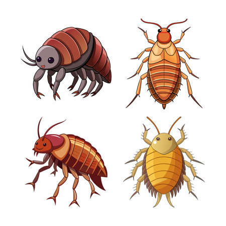 Detailed Booklouse Animal Realistic Color Artworkのイラスト素材