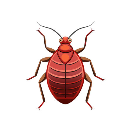 Realistic Bed Bug Illustration Showing Intricate Detailsのイラスト素材