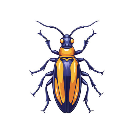 Charming Blister Beetle Illustration Showcasing Color and Detailのイラスト素材