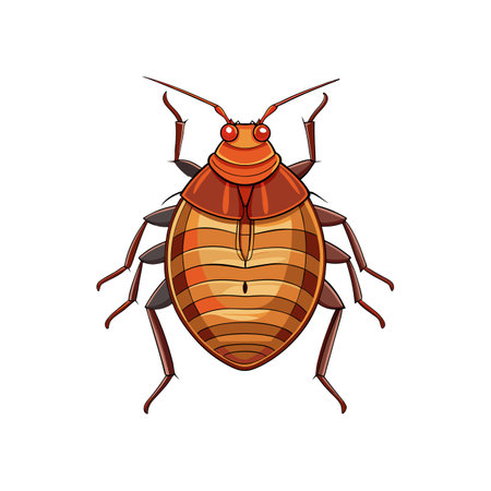 Vivid and Detailed Illustration of Bed Bugのイラスト素材