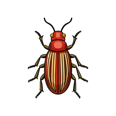 Realistic Bark Beetle Artwork Highlighting Nature's Detailのイラスト素材