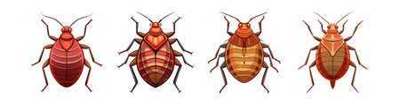 Realistic Bed Bug Illustration Showing Intricate Detailsのイラスト素材