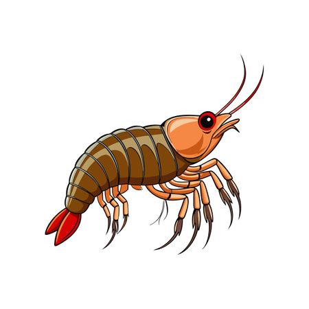 Colorful Branchiopoda Crustacean Realistic Artworkのイラスト素材