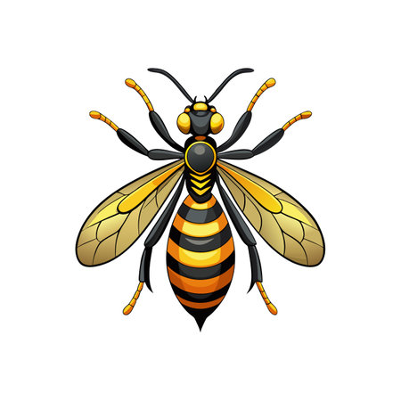 Unique Braconid Wasp Realistic Illustrationのイラスト素材