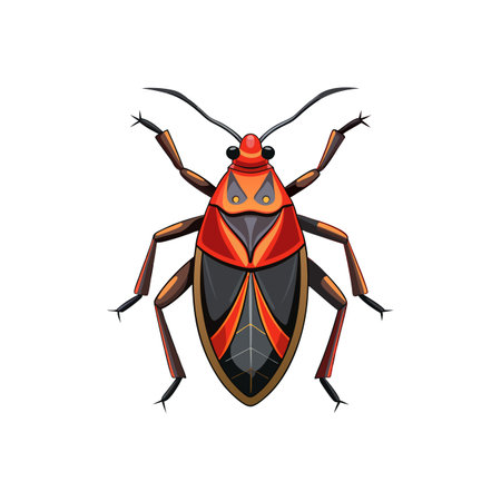 Vivid Boxelder Bug Animal Illustration in Detailのイラスト素材