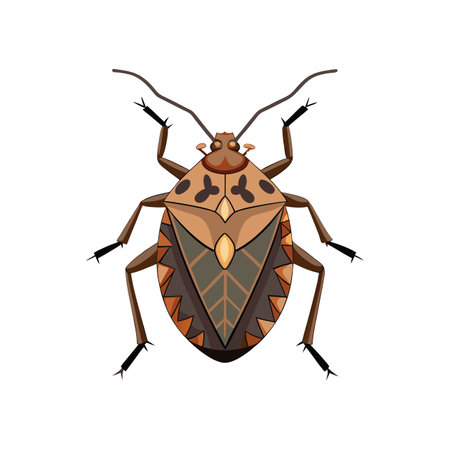 Stunning Colorful Brown Marmorated Stink Bug Artworkのイラスト素材
