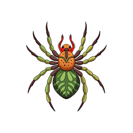 Unique Cyclocosmia Arachnid Realistic Illustrationのイラスト素材