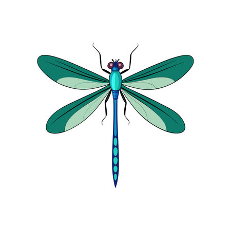 Realistic Color Illustration of Damselflyのイラスト素材