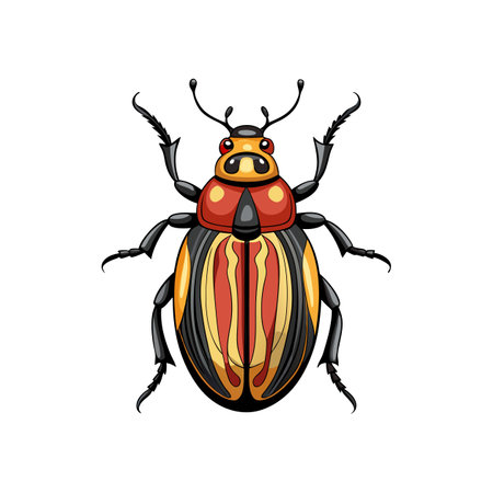 Vivid Artwork of Dermestid Beetleのイラスト素材