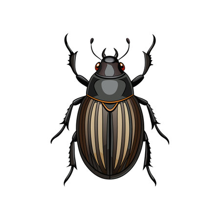 Detailed Color Illustration of Darkling Beetleのイラスト素材