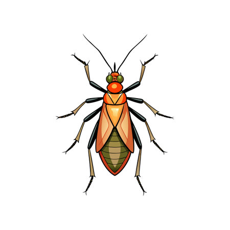 Colorful Realistic Illustration of Damsel Bugのイラスト素材